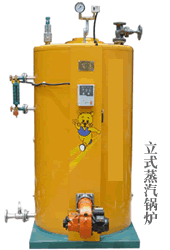 四川立式燃气蒸汽锅炉 成都燃气锅炉 四川蒸汽锅炉