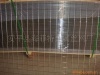 太阳能组件边框铝合金型材