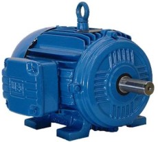 巴西WEG電機(jī)性?xún)r(jià)比最高的進(jìn)口電機(jī)