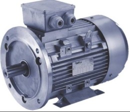 三相異步電機13.710/13.750