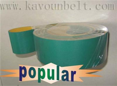 Nylon Flat Belt