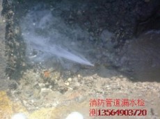 上海玲珑管道漏水定位检测公司