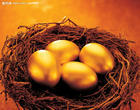 供应增强蛋壳硬度提高蛋黄质量添加剂金蛋素