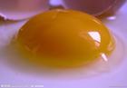 供应提高产蛋率促生长金蛋素2号