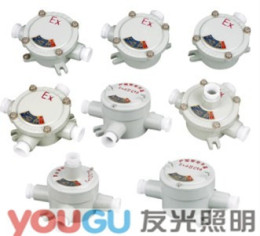 樂清CBJH系列防爆接線盒