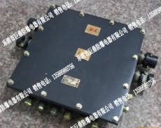JHH50-8 防爆接线盒