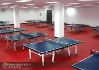 天津室内运动地板 乒乓球馆地板