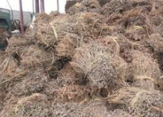 供应各种规格优质花生秧草粉