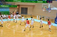 穗體木地板 運動木地板供應商-專業品牌
