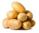 土豆种子秋季脱毒土豆种子价格低廉土豆种子