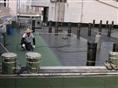 龍崗專業承接防水補漏工程公司