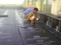 北京朝阳区楼顶防水堵漏