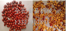 红枣真空干燥设备 干燥设备生产厂家