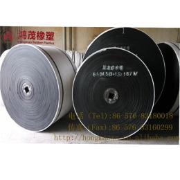 专业生产 钨矿专用尼龙输送带
