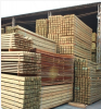天津 山樟木 防腐木材 建筑木板材