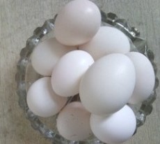 供应优质鸡蛋山鸡蛋