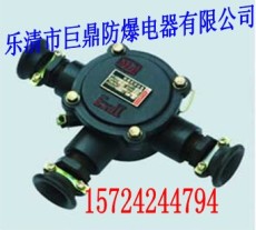 BHD2-25/3電纜接線盒3T電纜接線盒批發(fā)