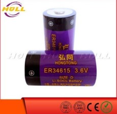 供应ER34615锂亚电池批发