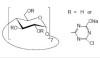 一氯三嗪- -环糊精