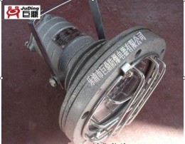 DGS20/127L B 矿用LED投光灯