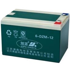 旭派6-DZM-12电动车电池