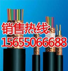 廠家直銷DJVP3VP3R24 3 1.0電纜