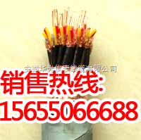 廠家直銷DJVVP2224 3 1.5電纜