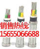 乐清CJPJ80/NC CJPJ80/SC船用电缆供应商