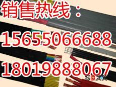 福建省 YGCB3 25+1 10扁平電纜