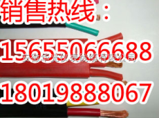 肇慶ZR-YFVFB扁平電纜供應商
