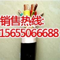 變頻器電纜ZR-BPYJVP3 3*10