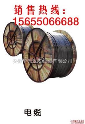 供應(yīng)變頻電纜BPFFP安徽著名產(chǎn)品