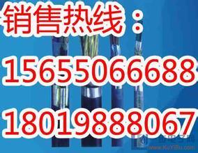 甘肃省ZR-KF46F46RP耐热电缆品牌