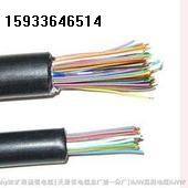 應(yīng)HJVV22鎧裝局用電纜 直埋電纜