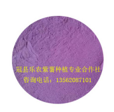 紫红薯面粉生产