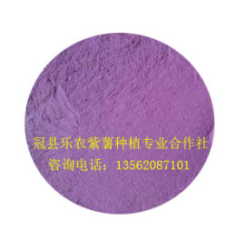 紫甘薯面粉生产基地